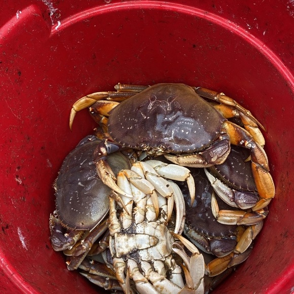 Meet your Posher, Larry - Picture 10 of 12